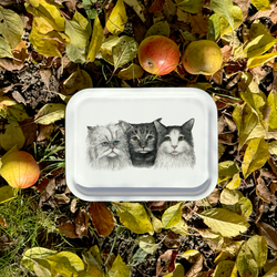 3 Cats - Tray