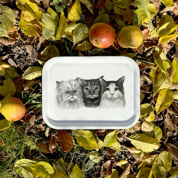 3 Cats - Tray