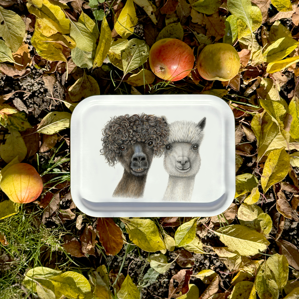 Anderssons - Tray