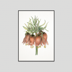 Benjamin - Fine art print