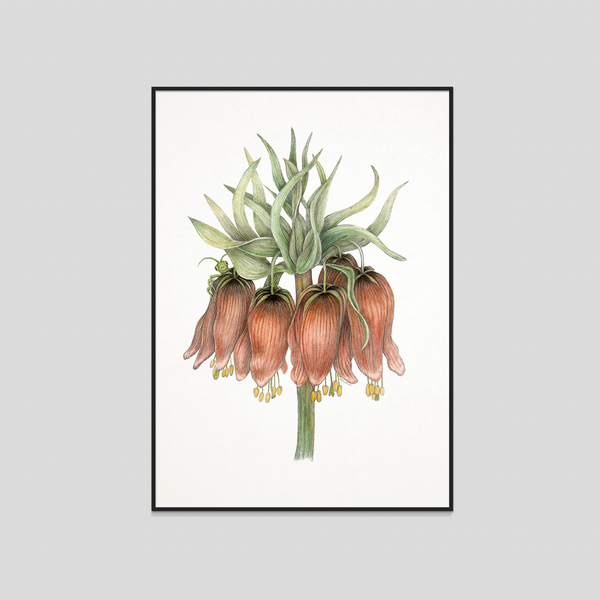 Benjamin - Fine art print