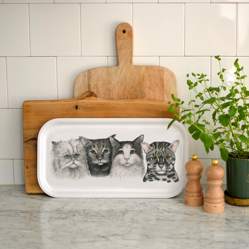 Cats - Long Tray