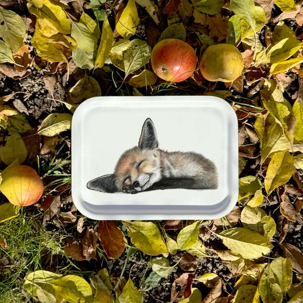 Felix  - Tray