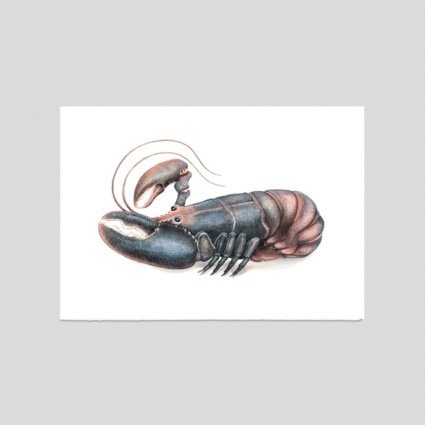 Larry - Fine art print