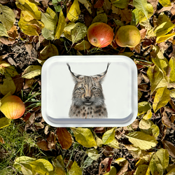 Lykke - Tray