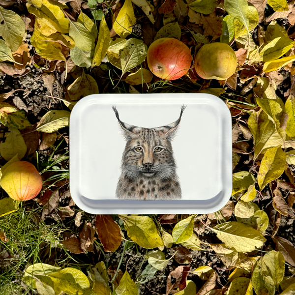Lykke - Tray