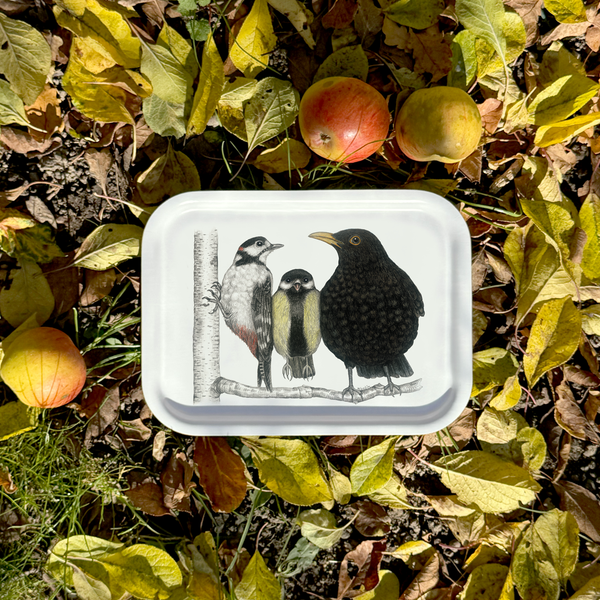 Morning conversation  - Tray