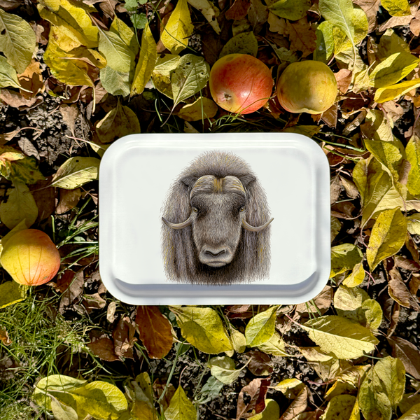 Musky - Tray