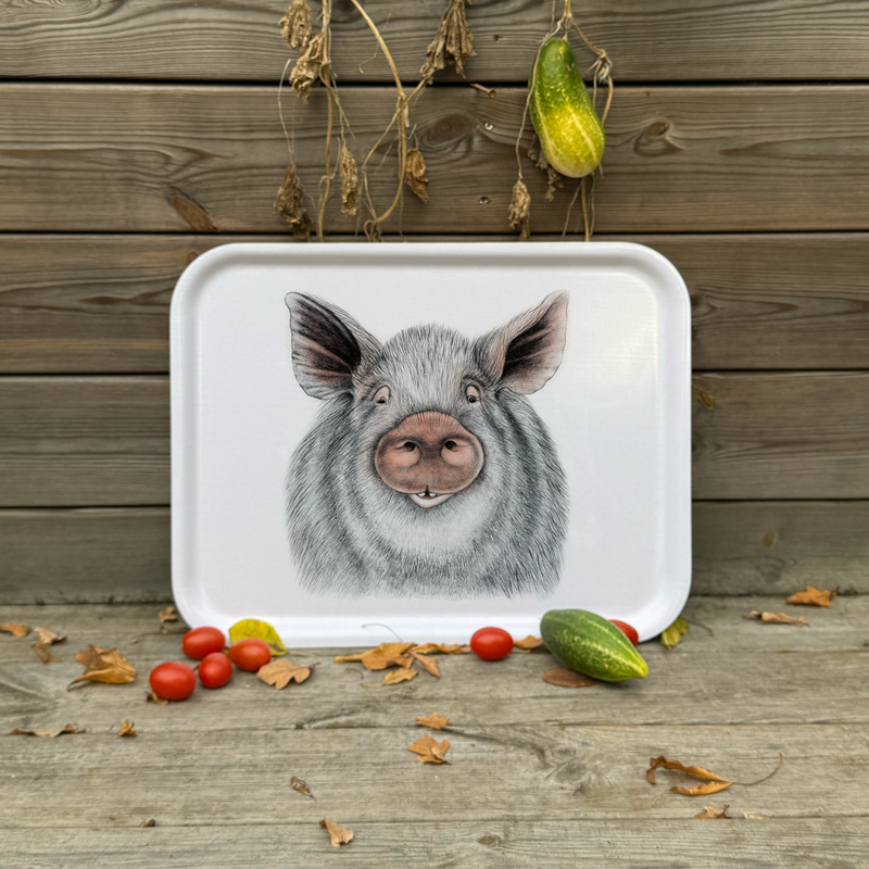 Oscar  - Tray