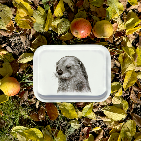 Seppo  - Tray