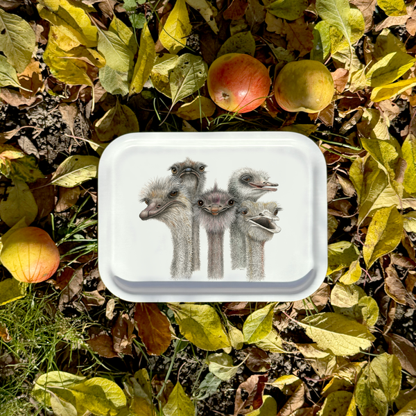 Tootsies- Tray