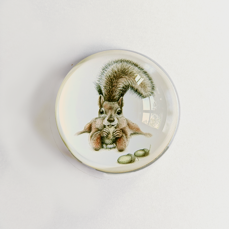 Sebastian - Paperweight