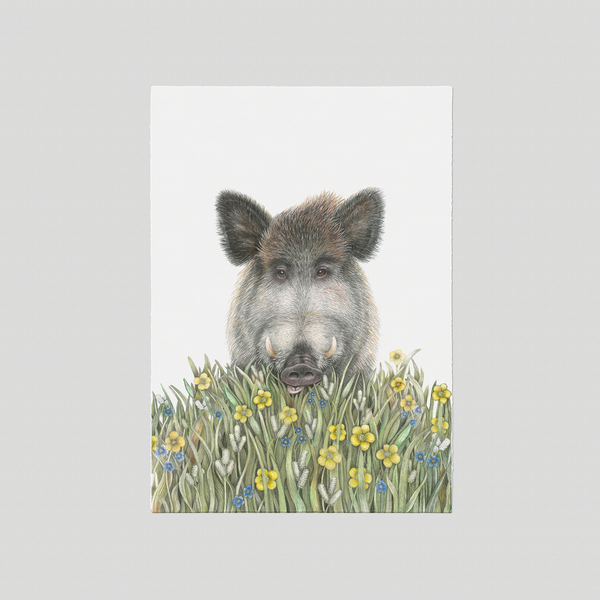 Wolfgang - Fine art print