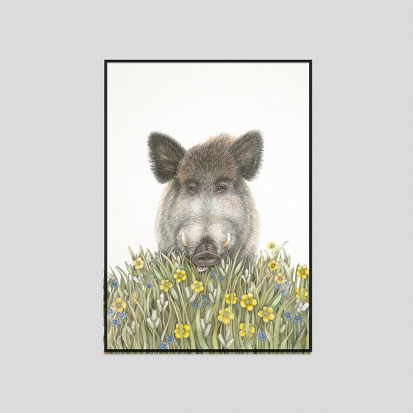 Wolfgang - Fine art print