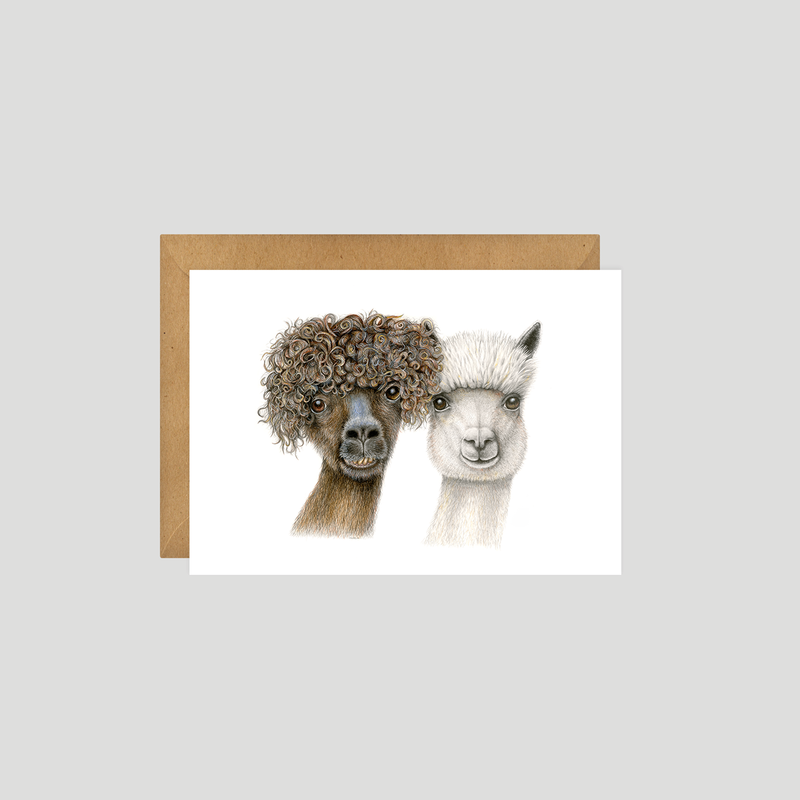 The Anderssons Alpacas - Postcard