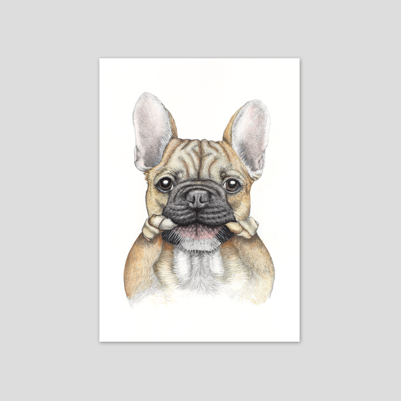 Bruce - Fine art print