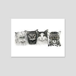 CATS - Fine art print