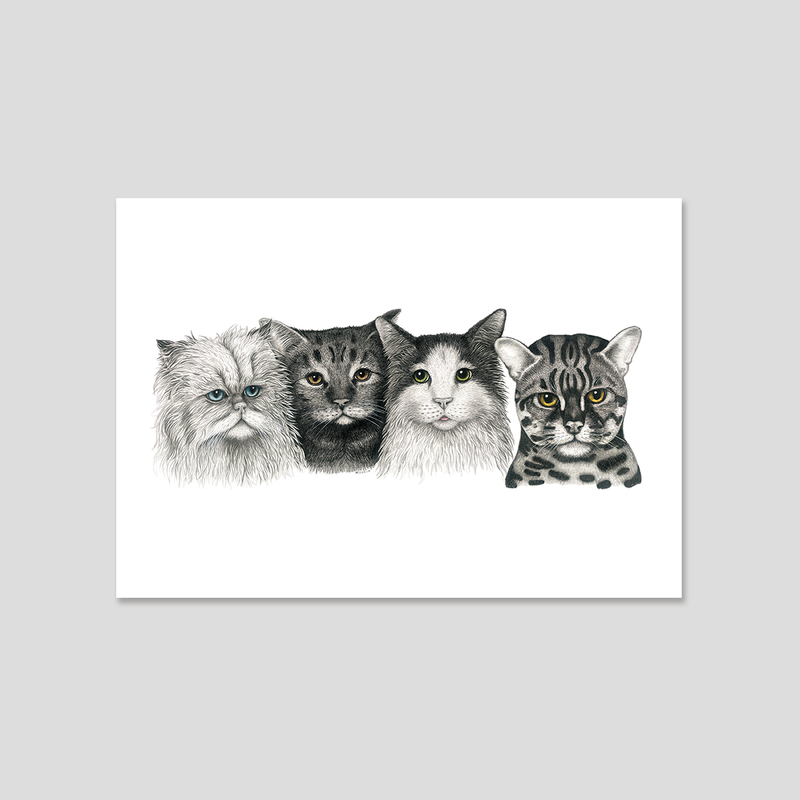 CATS - Fine art print