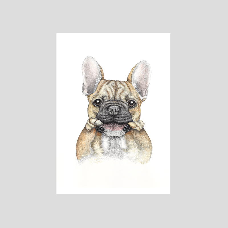 French bulldog / Frenchie print- by Charlotte Nicolin