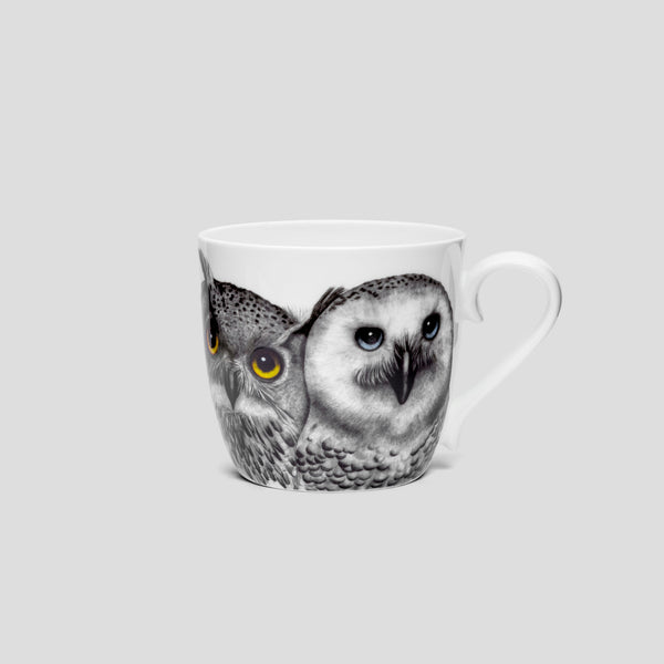 Contemplation two Owls - Mug