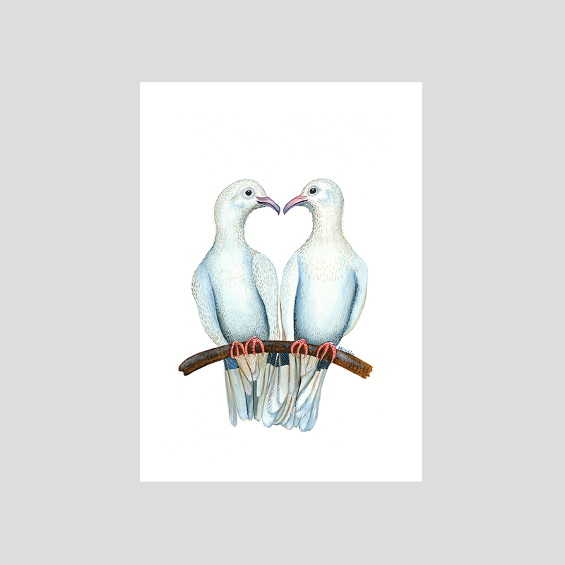 2 doves kissing art print by Charlotte Nicolin