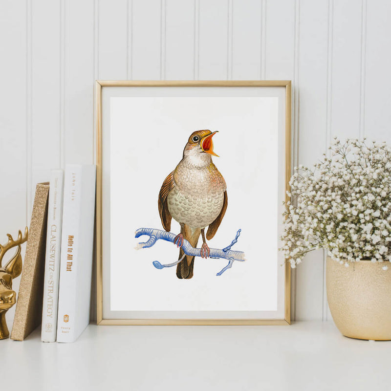 nightingale bird art print