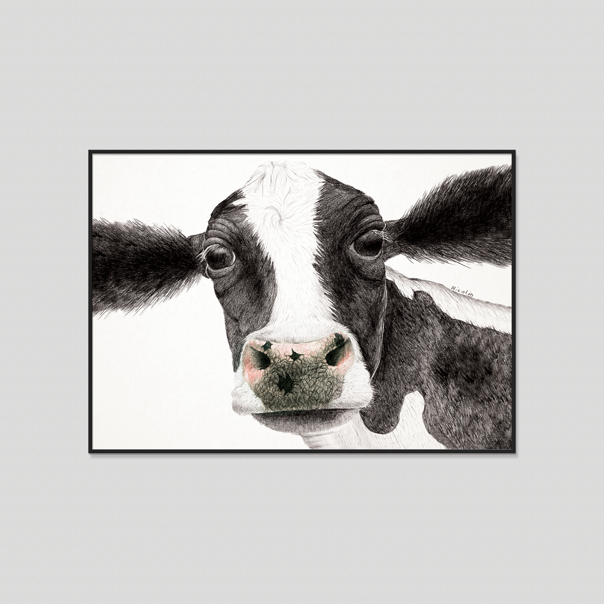Konsttryck med Svartvit Kossa - Tavla djurmotiv av Charlotte Nicolin