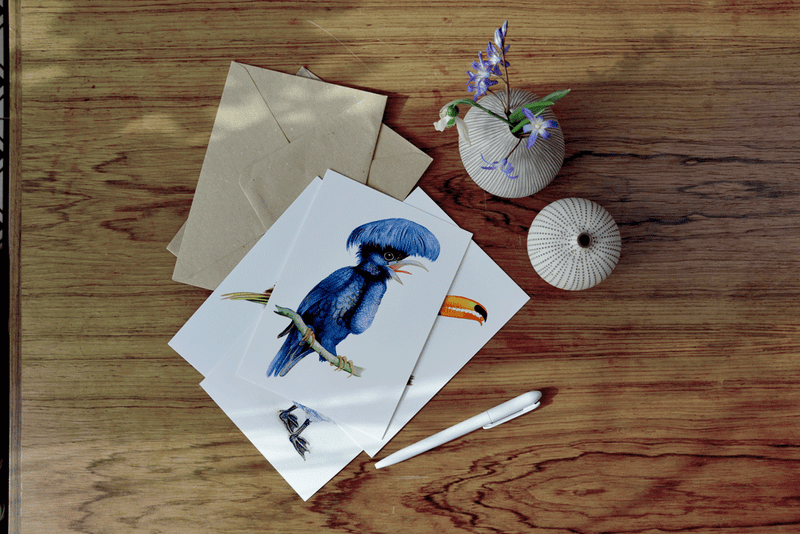 umbrella bird art card