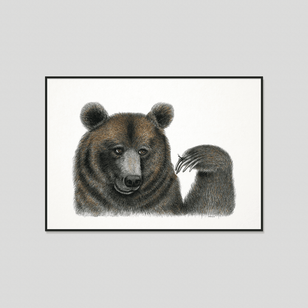brown bear print with frame